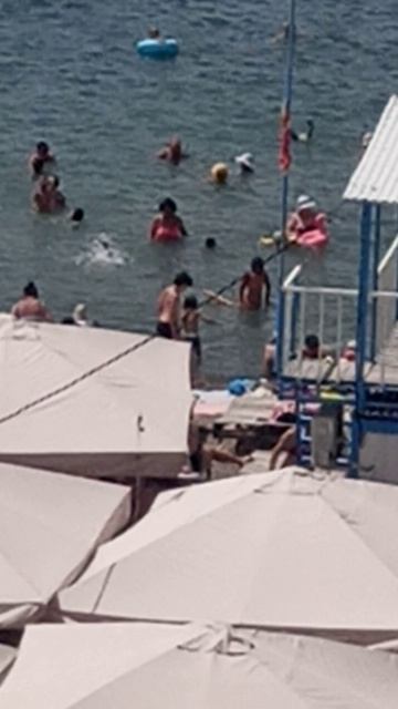 Купаемся! смотреть онлайн