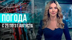 Погода на неделю 25 – 31 августа 2025. Прогноз погоды. Беларусь | Метеогид