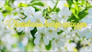 Обетованья всегда пребудут