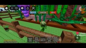 оцените пожалуйста сад