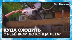 Куда пойти с ребенком? | Это Москва — Москва 24 | Контент