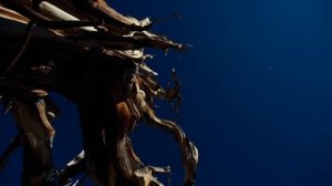 "Хаджи"  Габдулла Тукай