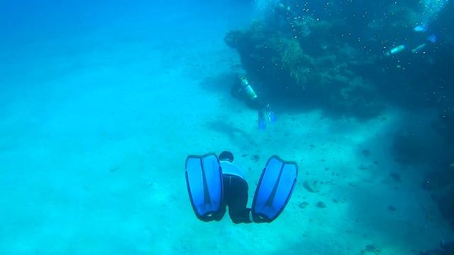 Египет, африканское побережье смотреть онлайн