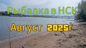 Рыбалка в Сибири на реке Обь в августе 2025г