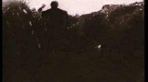 Курская битва