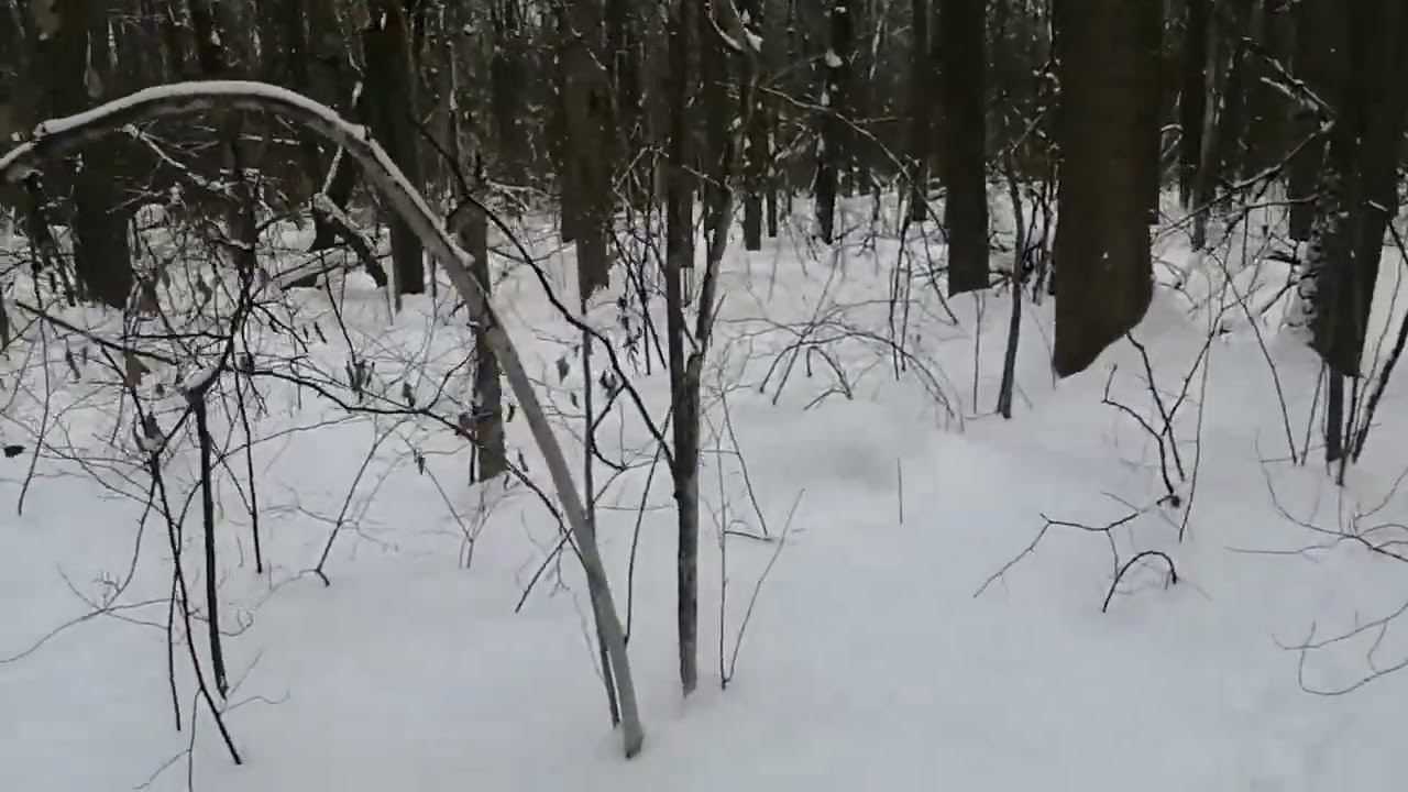Выкурили смотреть онлайн