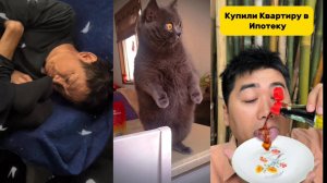 Самое Смешное за Август 2025