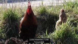 Очередной перл тупизма от МБА или почитайте ст 196 ГК