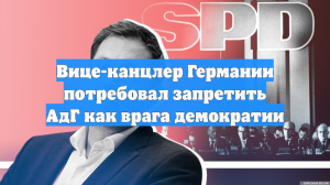 Вице-канцлер Германии потребовал запретить АдГ как врага демократии