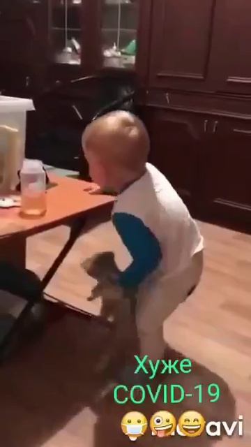 Котенок напал на ребенка смотреть онлайн