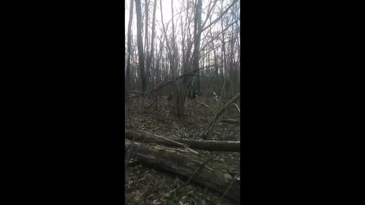 Охота на куницу смотреть онлайн