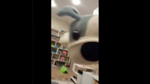 собачка нападает