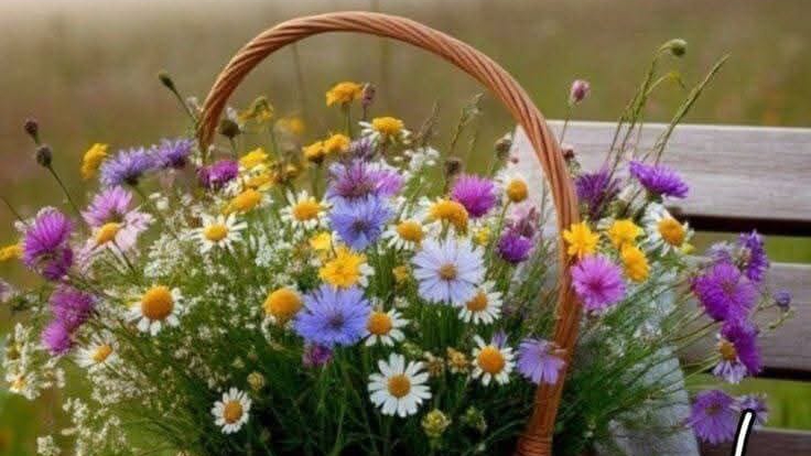 ПРОЩАЙ ЛЕТО! ПРОЩАЙ .....