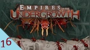 Empires of the Undergrowth 16