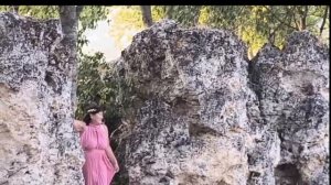 В   Каменном лесу нимф  ...