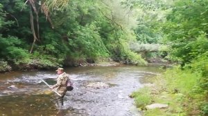 Сить - таинственная река.
Иллюстрация.