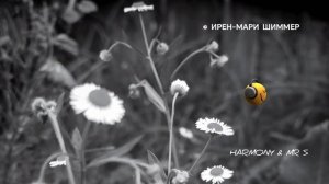 сделай свой шаг вперёд