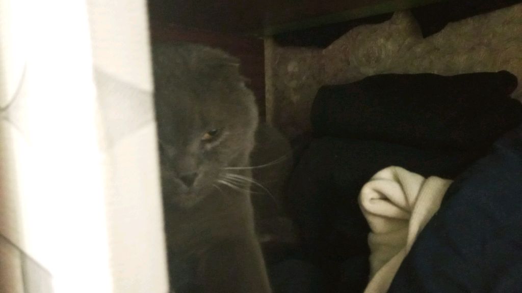 легендарный стрим 