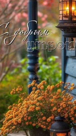 С добрым воскресным утром бесплатно красивые 🦋