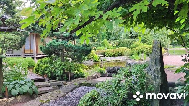 Ботанический сад Петра Великого в Санкт-Петербурге, Японский сад смотреть онлайн