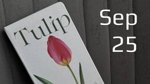 Оформление сентября 2025 в ежедневнике #bulletjournal