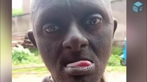 COUB compilation _ нарезка COUB -195