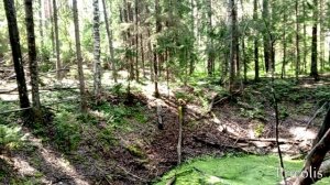 Нашли провал недалеко от Белого озера