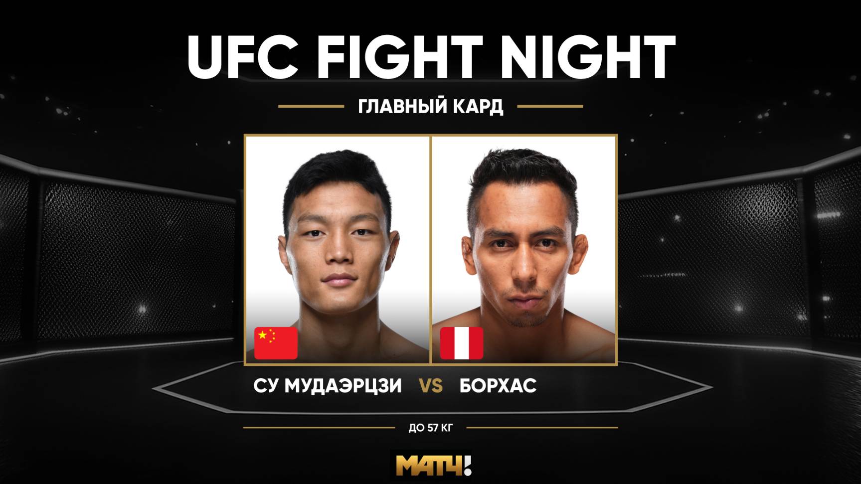 Су Мудаэржи против Кевина Бордхаса (видео). UFC Fight Night