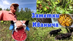 Малиновый выпуск, а впереди грибалка
