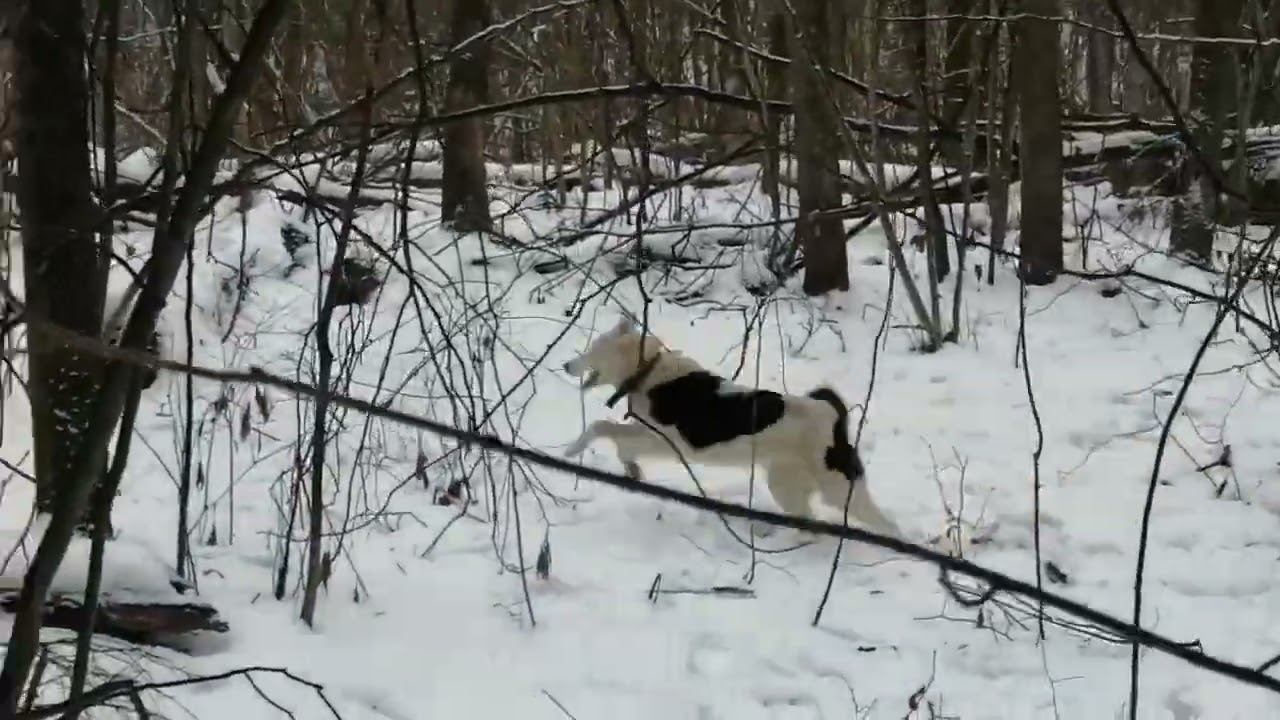 Удачный день смотреть онлайн