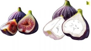 сочный инжир и карамбола, procreate