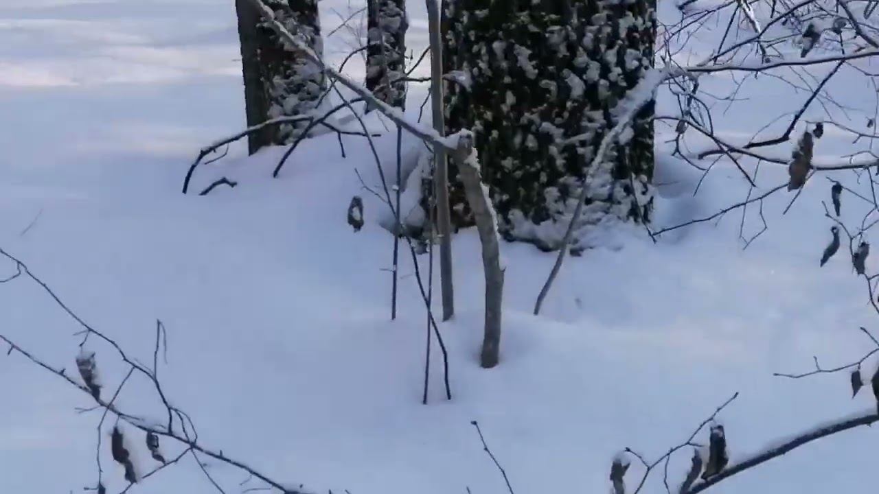 Удачный выход смотреть онлайн
