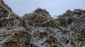 Коломенское без ЮНЕСКО. Что построят возле Храма Вознесения. Из цикла уничтожение Коломенского. ч 10