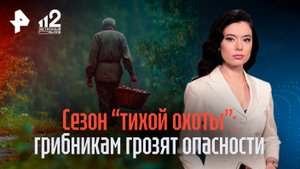 Ушел в лес и не вернулся: какие опасности грозят грибникам