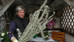 Декор сада осенью 07.11.20 в моем саду Занимаемся беседкой Убираем-украшаем
