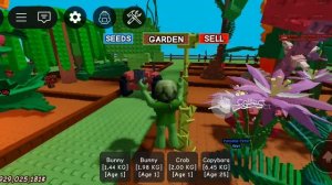 гров э Гарден лучше братнрот