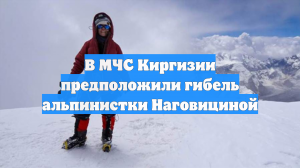 В МЧС Киргизии предположили гибель альпинистки Наговициной