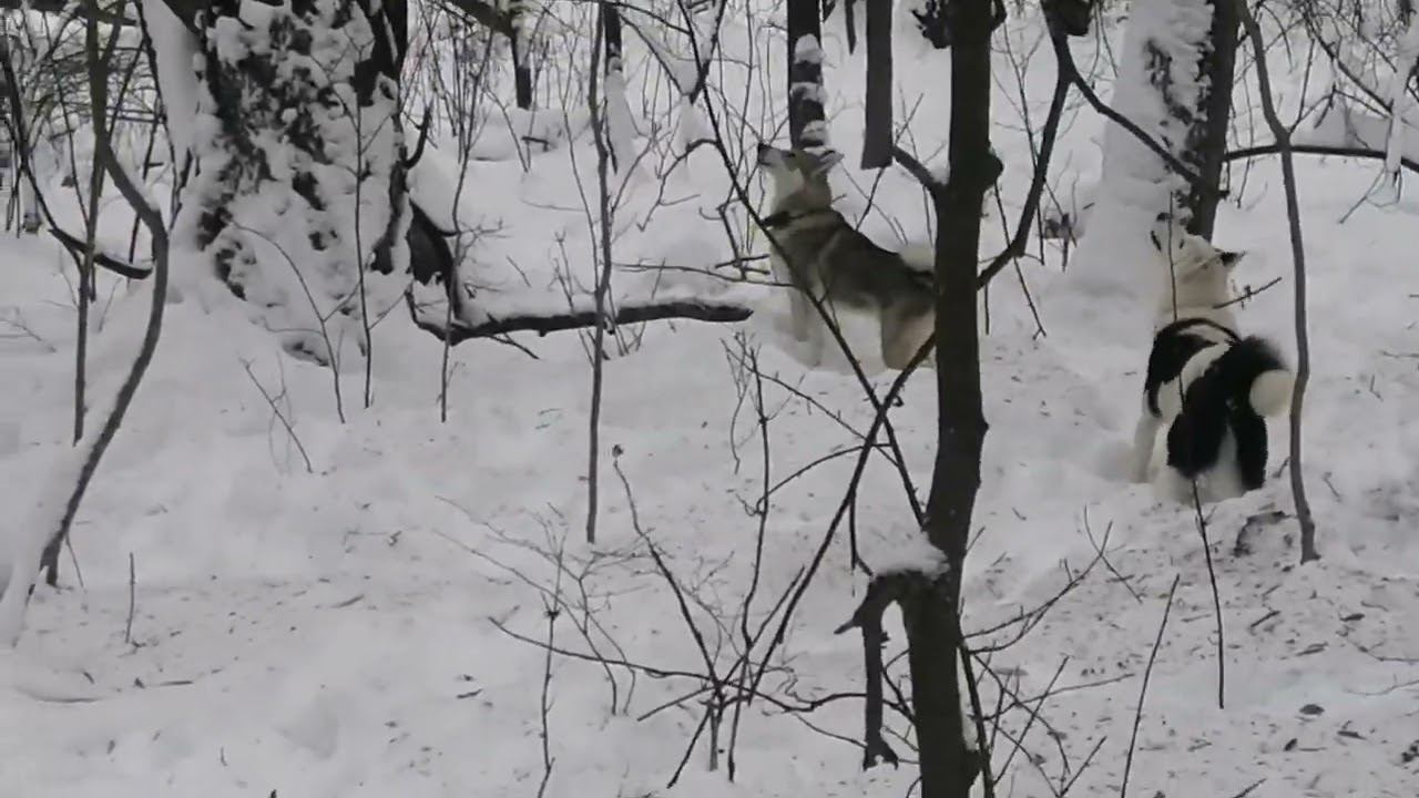 10 декабря 2023 г. смотреть онлайн