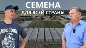 Как РОСАГРОТРЕЙД создают отечественные семена для всей страны. Обзор производства