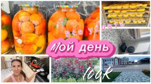 Прогулка, консервация помидоров и поломка пылесоса