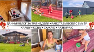 ВЕСЬ ХЛАМ - НА ДАЧУ 🏡 Организация дачного гардероба / Тружусь аки пчела 💚 Много работы на участке 💚