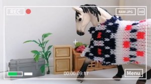 Интервью. 😉 Отвечаю на ваши вопросики.