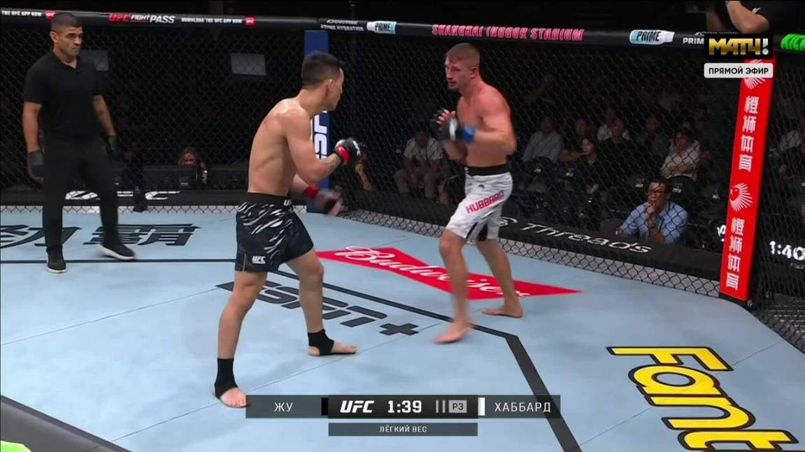 Ронг Жу против Остина Хаббарда (видео). UFC Fight Night