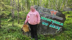 Поездка за грибами 23.08.2025