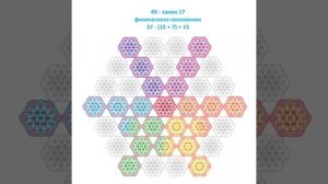 День 49.  Лилия Борей. Абсолютная истина Цветка Жизни. #силасознания