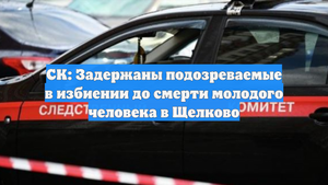 СК: Задержаны подозреваемые в избиении до смерти молодого человека в Щелково