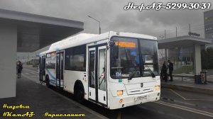 НефАЗ-5299-30-31 (КамАЗ-820.61-260 & Voith DIWA D854.3Е)