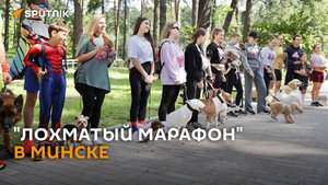 Благотворительный «Лохматый марафон» прошёл в Минске