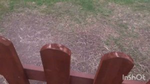 с.Пискалы Страусиная ферма!