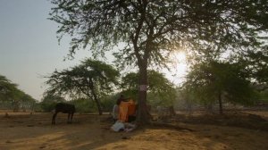 Вриндаван во Вриндаване